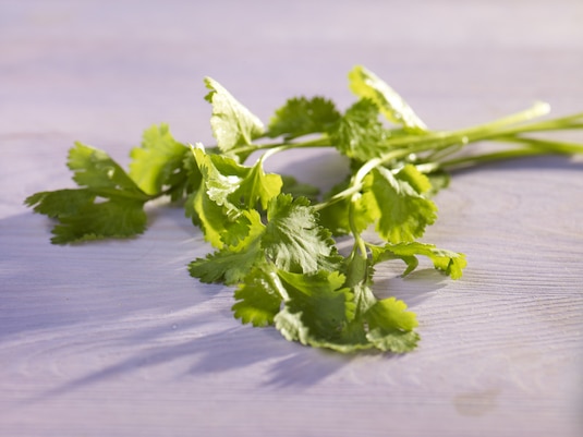 Smaki kuchni meksykańskiej