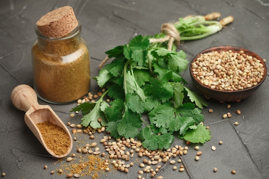 Kolendra - przyprawa o wielkiej mocy