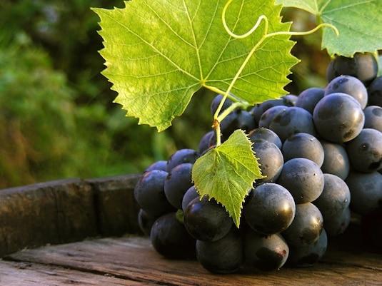 Winogrona w kuchni. Sałatki z winogronami i kurczak słodko-słony