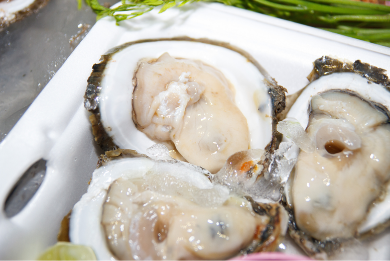 Sos ostrygowy – do czego stosować i dodać?