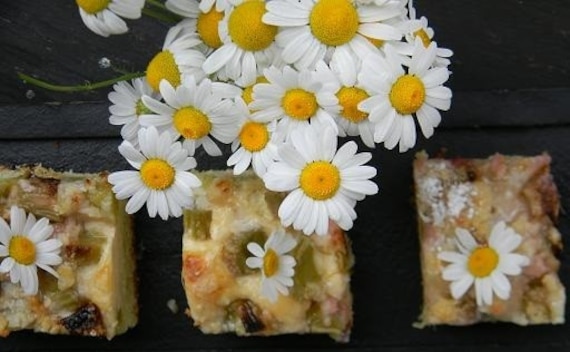 Ciasto z rabarbarem i masą serową