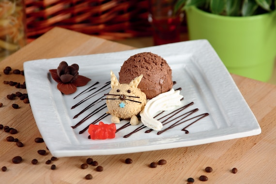 Lody czekoladowe z bitą śmietaną "Kot"