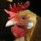 American Chicken